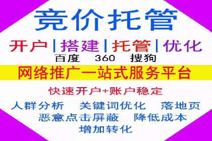某某sem推广公司在某行业的应用与效果分析